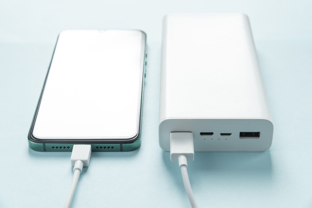 Bater&iacute;a port&aacute;til